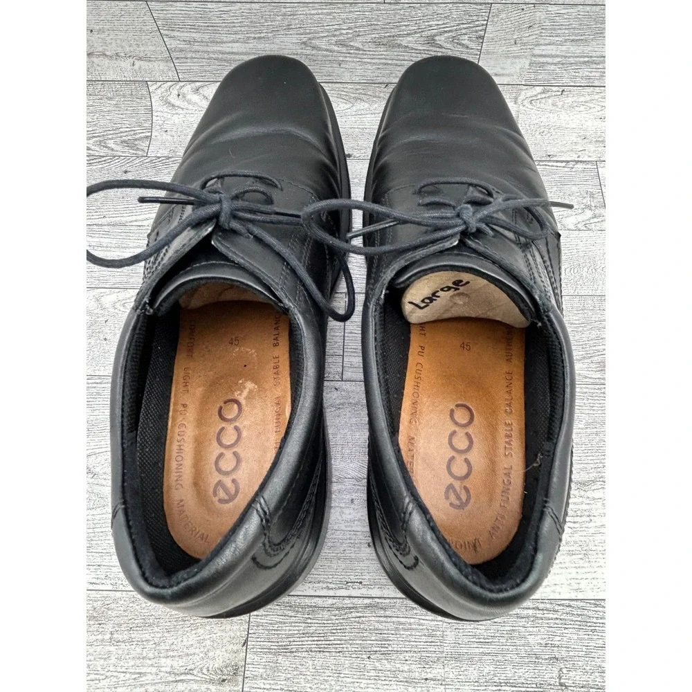 Ecco step into